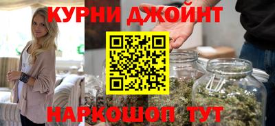 шишки Кингисепп
