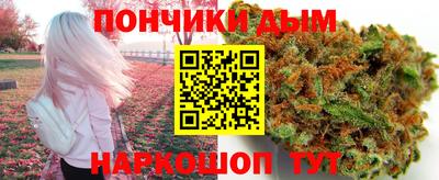 шишки Кингисепп