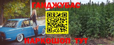 шишки Кингисепп