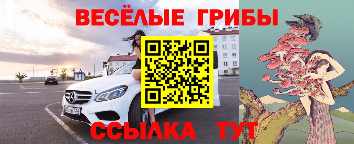 Галлюциногенные грибы Cubensis  Вход с VPN  даркнет сайт  Коркино 