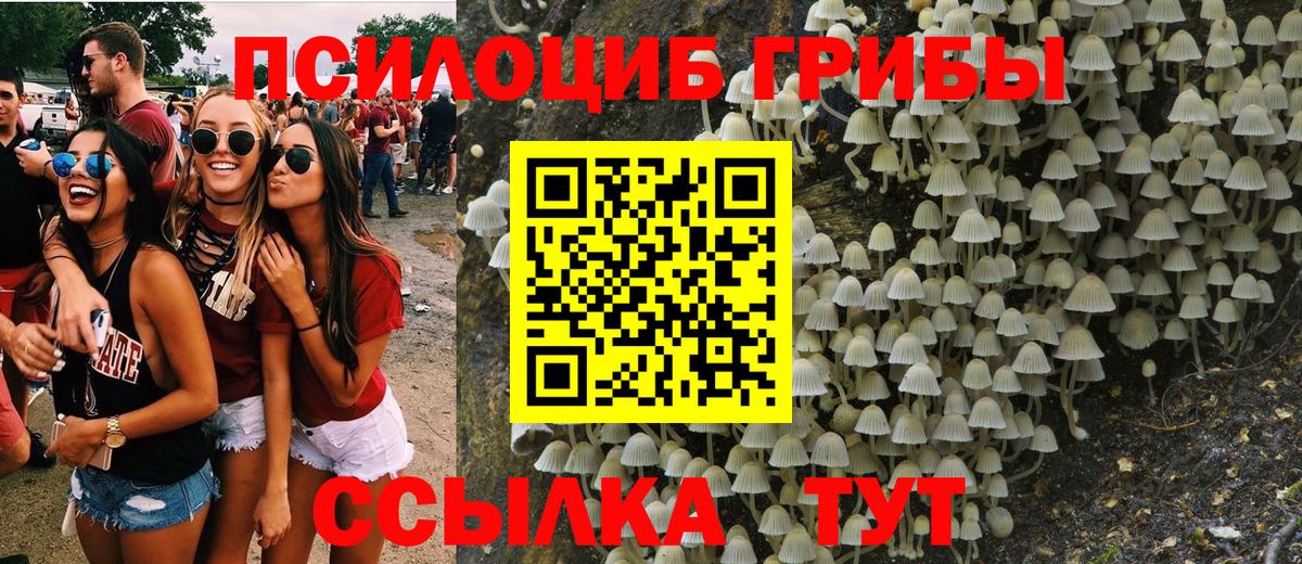 Псилоцибиновые грибы MAGIC MUSHROOMS Коркино